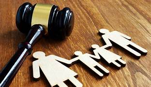 Curso Especializado en Derecho de Familia y Sucesiones